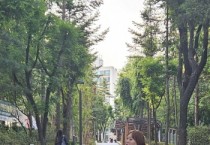 [경기도의회]  전자영 경기도의원, 도비 5억원 들여 구갈동보행자도로 개선 사업 마무리   -경기티비종합뉴스-