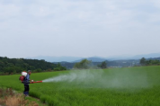 여주시, 고품질 여주쌀 생산을 위한 도열병 사전 방제 당부!   -경기티비종합뉴스-