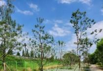 [용인특례시]  기흥구, 탄천과 신갈천 옆 ‘걷기좋은 길’ 500m 시범사업 마무리   -경기티비종합뉴스-