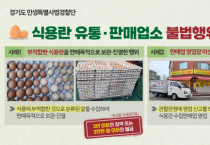 [경기도 특사경]  식용란 유통·판매업소 불법행위 32곳 적발  -경기티비종합뉴스-