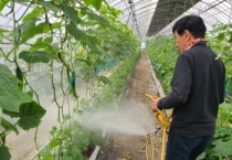 용인특례시, 오이농가 10곳에 친환경 해충방제 미생물 지원   -경기티비종합뉴스-