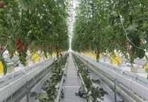[용인특례시]  내년 시설원예 농가 60여 곳에 최대 5000만원 지원   -경기티비종합뉴스-