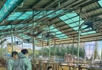 [경기티비종합뉴스] 경기도, 럼피스킨병 백신접종 완료, 항체 완성되는 11월말 종식 기대