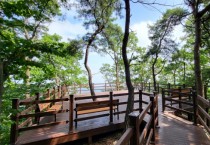 용인특례시, 가실벚꽃 품은 ‘향수산’ 숲길 2km 정비   -경기티비종합뉴스-