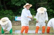 [여주시]  여주쌀 역사의 산실, 점동면 흔암리마을에서 손 모내기 행사 개최   -경기티비종합뉴스-