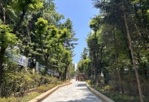 용인특례시, 기흥구 구갈동 보행자도로 화사해졌다   -경기티비종합뉴스-