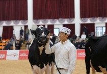 [경기티비종합뉴스] 경기도, 제23회 2023한국홀스타인 품평회에서 젖소 준그랜드챔피언 국무총리상 등 최고의 성적거둬