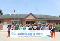 [경기도]  지역특화 품종 육성을 위한 ‘벼 모내기’ 시연  -경기티비종합뉴스-