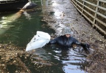 [용인시자원봉사센터]  육군 수도군단 특공연대와 환경정화 활동 힘모아   -경기티비종합뉴스-