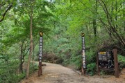 [경기티비종합뉴스] 용인특례시, 법화산에 맨발 산책길…나도‘어싱’해볼까