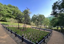 용인특례시, 돌봉산과 신갈공원 등산로에 녹색쉼터 조성   -경기티비종합뉴스-