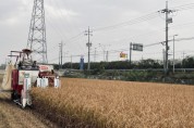 [경기티비종합뉴스] 경기도, 토종유전자원 활성화를 위한 ‘토종 벼 베기’ 시연