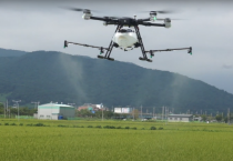 [이천시]  이천쌀 병해충 적기 방제와 이삭거름 시용 당부   -경기티비종합뉴스-