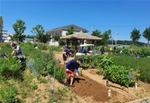 [평택시]  2023년 농업생태원 시민텃밭 이용자 모집   -경기티비종합뉴스-