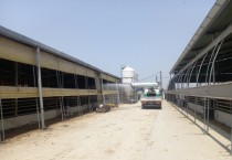 [안성시]   구제역 백신 긴급 추가접종 실시   -경기티비종합뉴스-