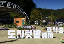 [경기티비종합뉴스]  용인특례시, 14일 기흥호수공원에서 도시농업 체험행사