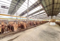 [용인티비종합뉴스] 용인특례시, ‘축산 악취 개선’공모 선정…원삼·백암에 7억2000만원 투입