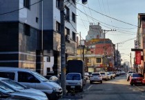 [안성시]  도심속 거미줄을 걷어내다   -경기티비종합뉴스-