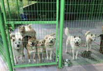 [용인특례시]   동물보호센터서 반려동물 입양 땐 15만원까지 지원  -경기티비종합뉴스-