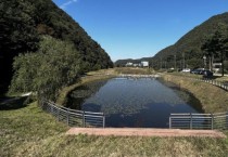 [경기티비종합뉴스] 용인특례시 호동 ‘길업습지’ 생태계 복원, 경기도 지원 대상 선정