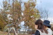 [경기티비종합뉴스] 평택시 공원 시민위원회 11월 활동 진행