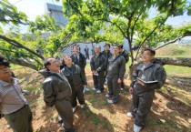 [평택시]  ‘배 농가 수심 깊어...’ 저온 피해 심각   -경기티비종합뉴스-