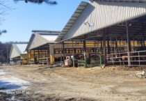 [경기티비종합뉴스] 용인특례시, 120억 2000만원 투입해 축산농가 지원