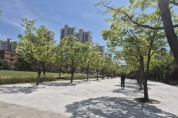 [경기티비종합뉴스] 용인특례시, 새물근린공원 정비 완료