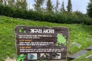 [경기티비종합뉴스] 평택 배다리공원, 시민과 함께 ‘개구리 생태사다리’ 첫 시범 설치