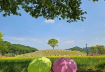 [경기티비종합뉴스] 안성시 문화관광과, 지난해 12만명 홀린 ‘금광호수 수석정 수변화원’...이번 주부터 노란 유채꽃 향연 시작