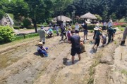 [경기티비종합뉴스] 용인특례시, 농촌테마파크 모내기 체험 가족 모집