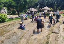 [경기티비종합뉴스] 용인특례시, 농촌테마파크 모내기 체험 가족 모집
