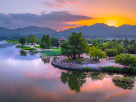 [경기티비종합뉴스] 양평군, ‘정원분야 실습보육공간 조성사업’ 선정…경기정원문화박람회 준비 본격화