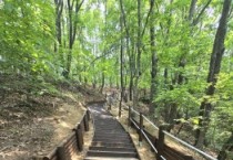 [경기티비종합뉴스] 용인특례시 수지구, 대지산 등산로 목계단·안전로프 설치로 안전성 향상