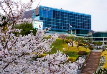[경기티비종합뉴스] 광주시, 스마트 계약심사 도입으로 2025년 1분기 13억 원 예산 절감