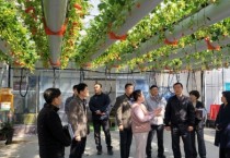 [경기티비종합뉴스] 광주시 김충범 부시장, 곤지암읍 딸기 재배 농가 현장 방문