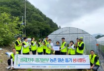 경기티비종합뉴스] 「농협 경기본부」엄범식 본부장, 양평 관내 모범 다문화가정 찾아 일손돕기 구슬땀 흘려