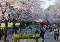 [경기티비종합뉴스] 제10회 여주흥천남한강벚꽃축제 43만명 방문, 역대 최고 성과 달성
