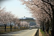 [경기티비종합뉴스] 용인특례시, 봄철 나들이 여행객 증가 대비해 용인경전철 운송·안전대책 수립