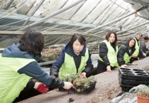 [경기티비종합뉴스] 용인특례시의회, 남사화훼단지에서 폭설 피해 복구 지원