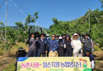 [경기티비종합뉴스] 장호원농협 송영환 조합장, 영농철 농촌 일손돕기 적극 전개…복숭아 농가 지원에 구슬땀