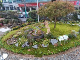 [경기티비종합뉴스] 경기도, ‘부천시 이(끼)로운 탄소중립 마을정원’ 우수 마을정원에 선정