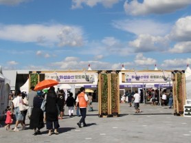 [경기티비종합뉴스]"특집" “한 송이의 여정, 화성송산포도 팜투페스타”…제12회 화성송산포도축제 화려한 개막