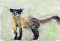 [경기티비종합뉴스] 경기문화재단 DMZ 문화예술공간 통, 파주 비무장지대의 생태계 보고  《우연적 자연》 전시 개최