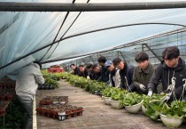 [경기티비종합뉴스] 농협 수원시지부, 수원농협 임직원 폭설 피해농가 일손돕기