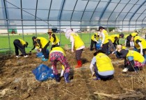 [경기티비종합뉴스] 수원특례시, 수원 자원봉사자, 가평 수해 농가 복구