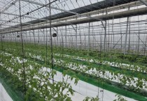 [경기티비종합뉴스] 남상은 수원시농업기술센터소장 “현장에서 체감하는 변화 만들 것”