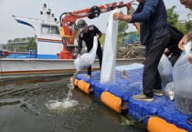 [경기티비종합뉴스] 평택시, 뱀장어 치어 8만 9천 마리 방류