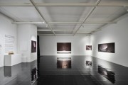 [경기티비종합뉴스] 화성시문화관광재단, 화성 아트 WAVE 시리즈Ⅱ 《Drawing the light》 성황리 폐막