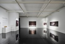 [경기티비종합뉴스] 화성시문화관광재단, 화성 아트 WAVE 시리즈Ⅱ 《Drawing the light》 성황리 폐막